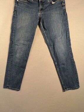 Silver Jean Company Women's 30x25 Blue Skinny Jeans